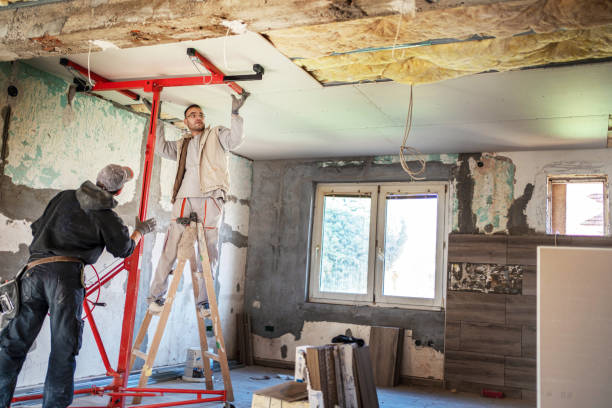 Best Residential Insulation in Belle Plaine, KS